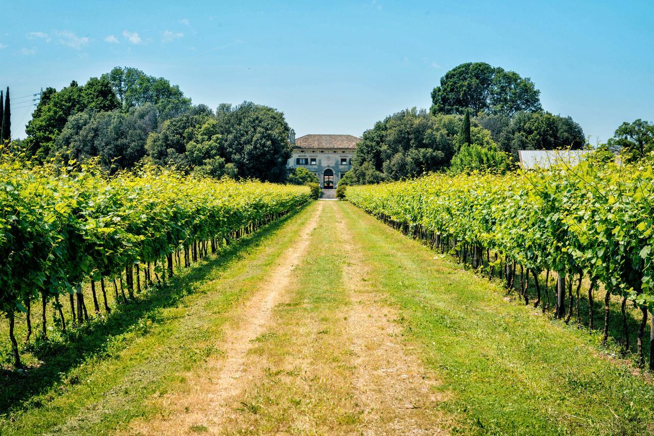 Relais Villa Sagramoso Sacchetti Werona Zewnętrze zdjęcie